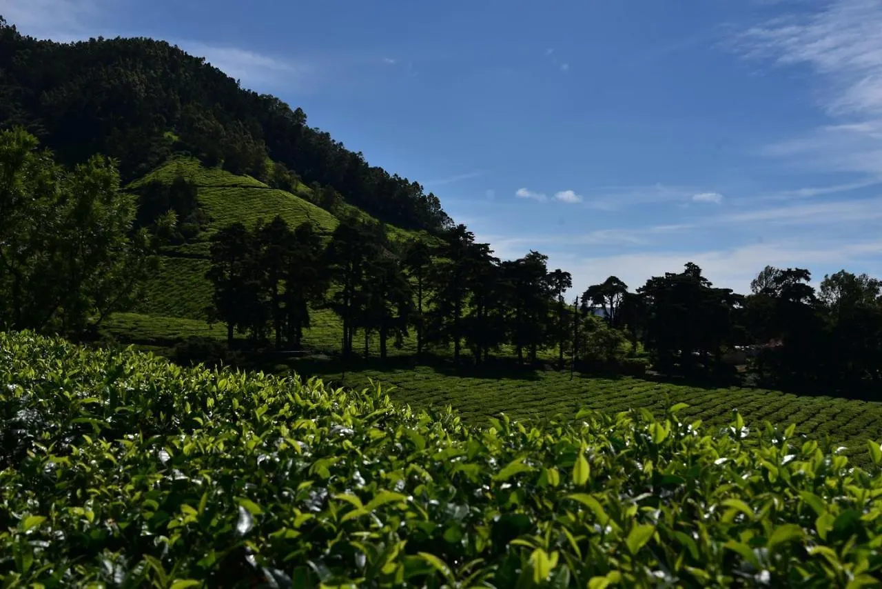 Teddy'S Treks & Trails Nagamalai G.H Villa Munnar 0*,